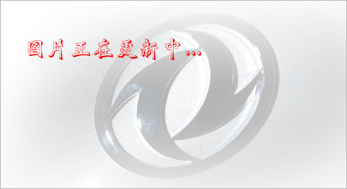 ʮϴ܇